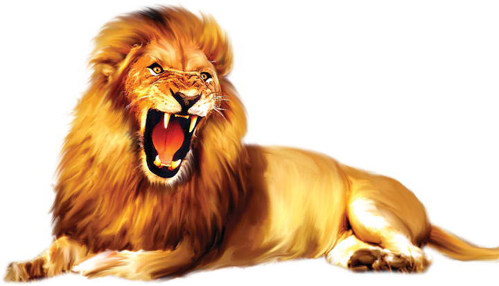 Lion Png Free Download (white, maroon, black)