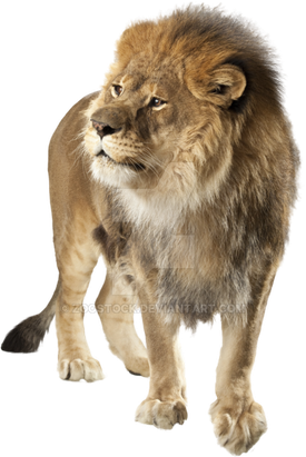 Lion Png Isolated Pic (gray, black, silver)