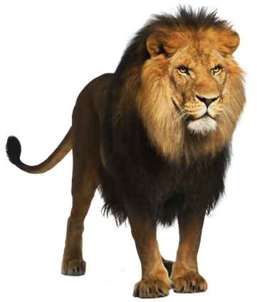 Lion Png Photo (black)