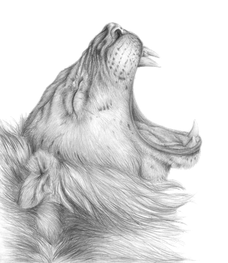 Lioness Roar Png Clipart (black, silver)