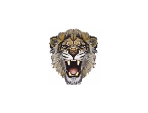 Lioness Roar Png Photos (black, gray)