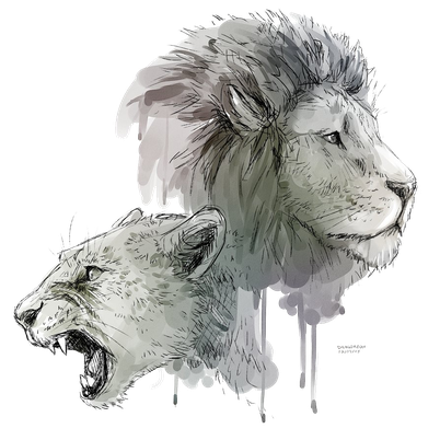 Lioness Roar Transparent Background (black, indigo)