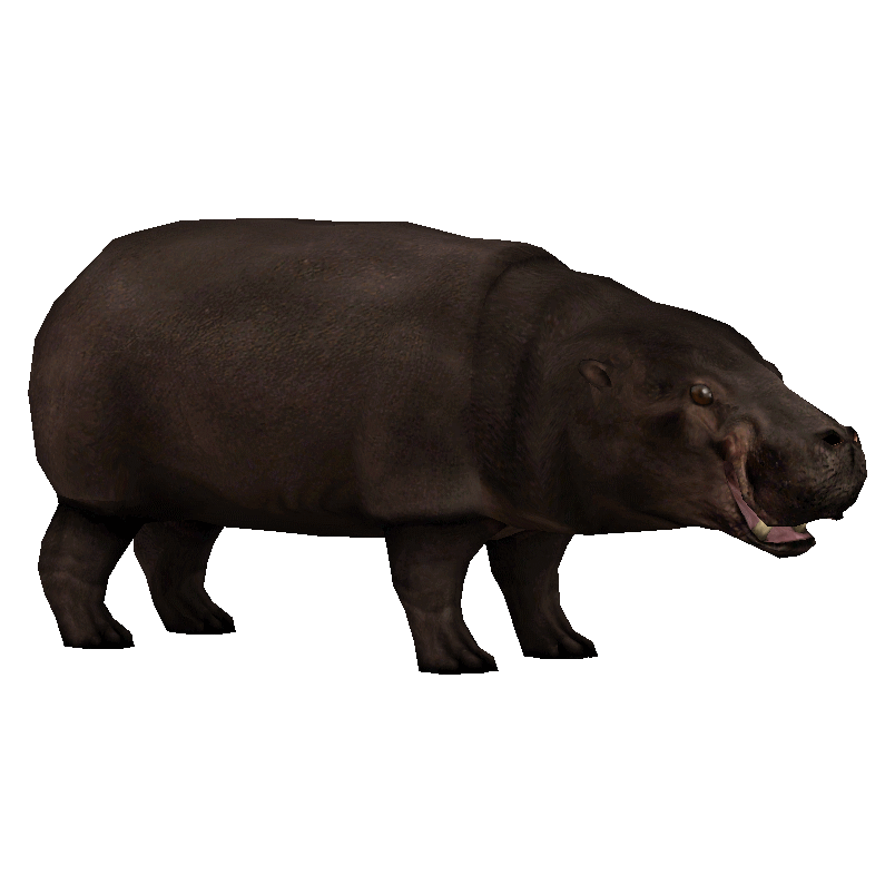 Hippo Transparent Png (black, pink)