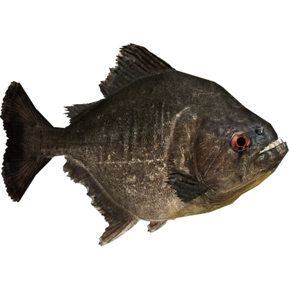 Piranha Png Picture (black)