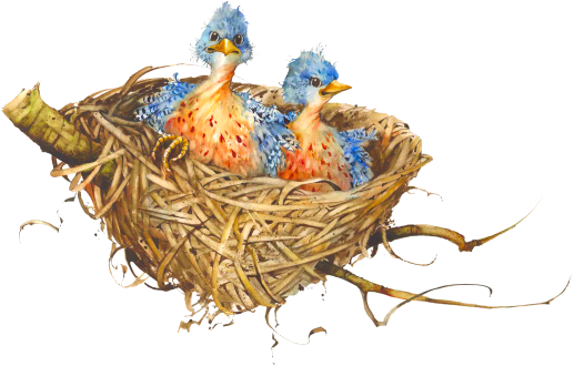 Bird Nest Art Png (black)