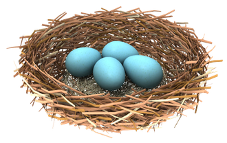 Bird Nest Blue Eggs Png (gray, olive, mint, black)