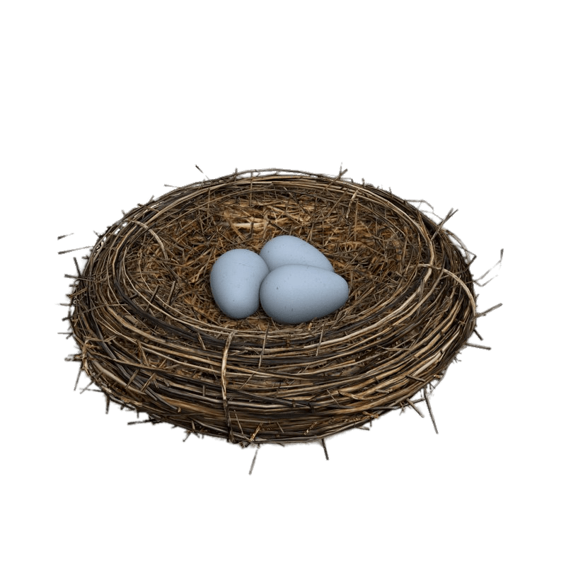 Bird Nest Eggs Png (gray, maroon)