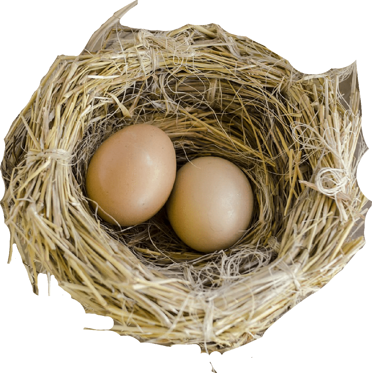 Bird Nest Natural Png (gray)