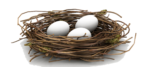 Bird Nest White Eggs Png (white, silver, black)