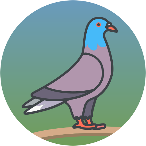 Bird Dove Animal Wildlife Icon Free Transparent Png Icon Download (silver, gray, black, greenish blue)