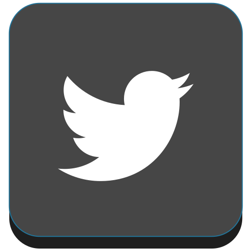 Bird Media Social Social Media Twitter Free Png Icon Download (white, black, indigo)