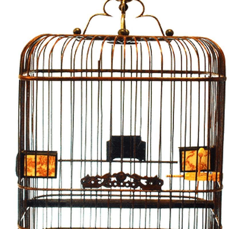 Birdcage Elevator Png Cutout (black)