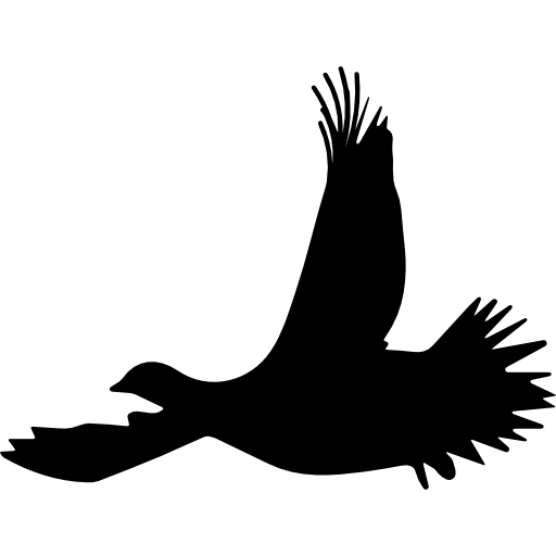 Birds Flying Png Free Image (black, white)