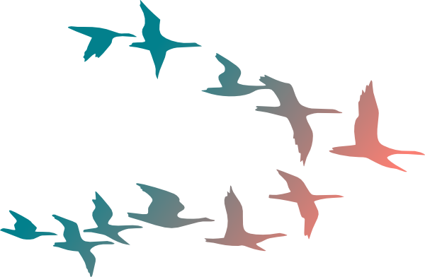 Birds Flying Png Hd Image (teal, white)