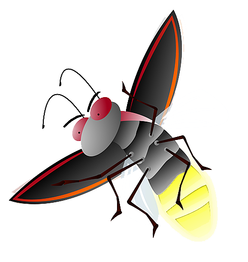 Firefly Png File (white)