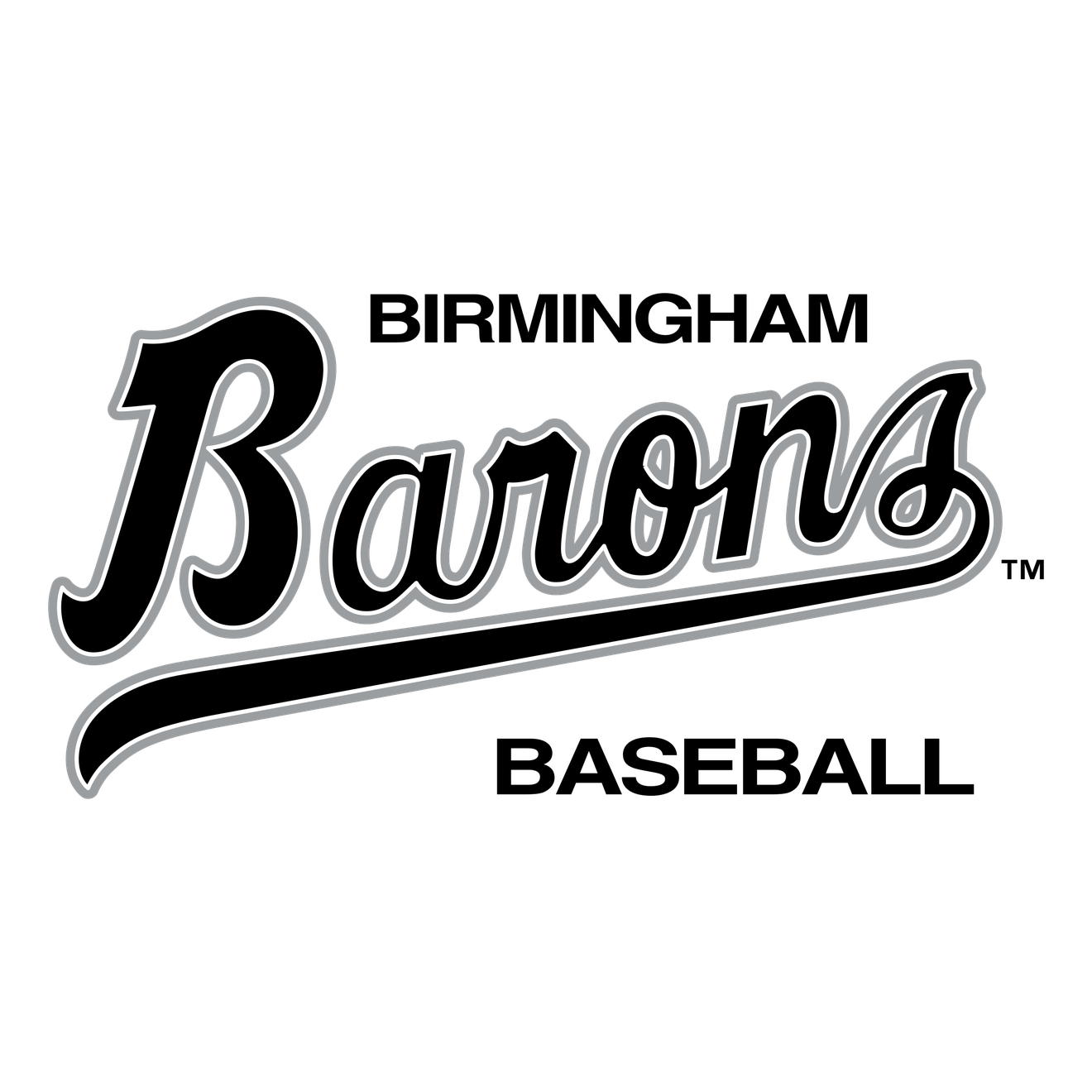 Birmingham Barons Png (black, silver)