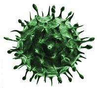 Virus Png Clipart (black, white)