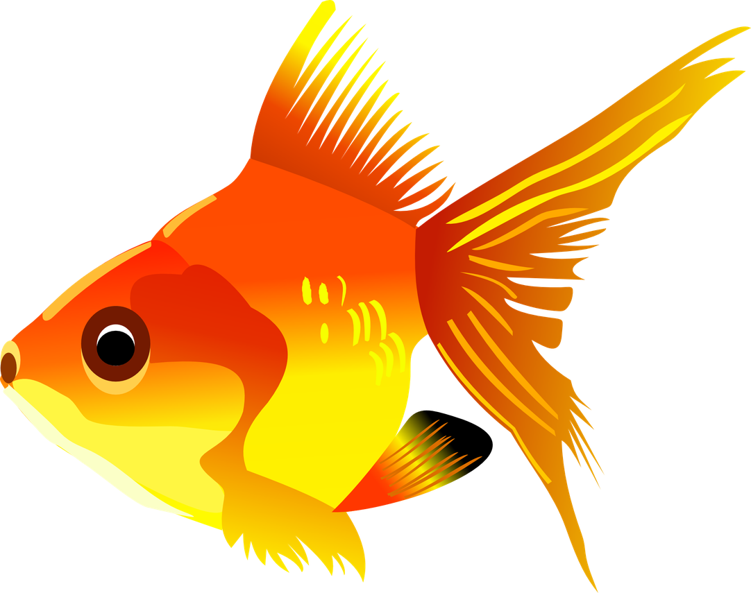 Fish Cartoon Png File (black, red, chocolate, yellow)