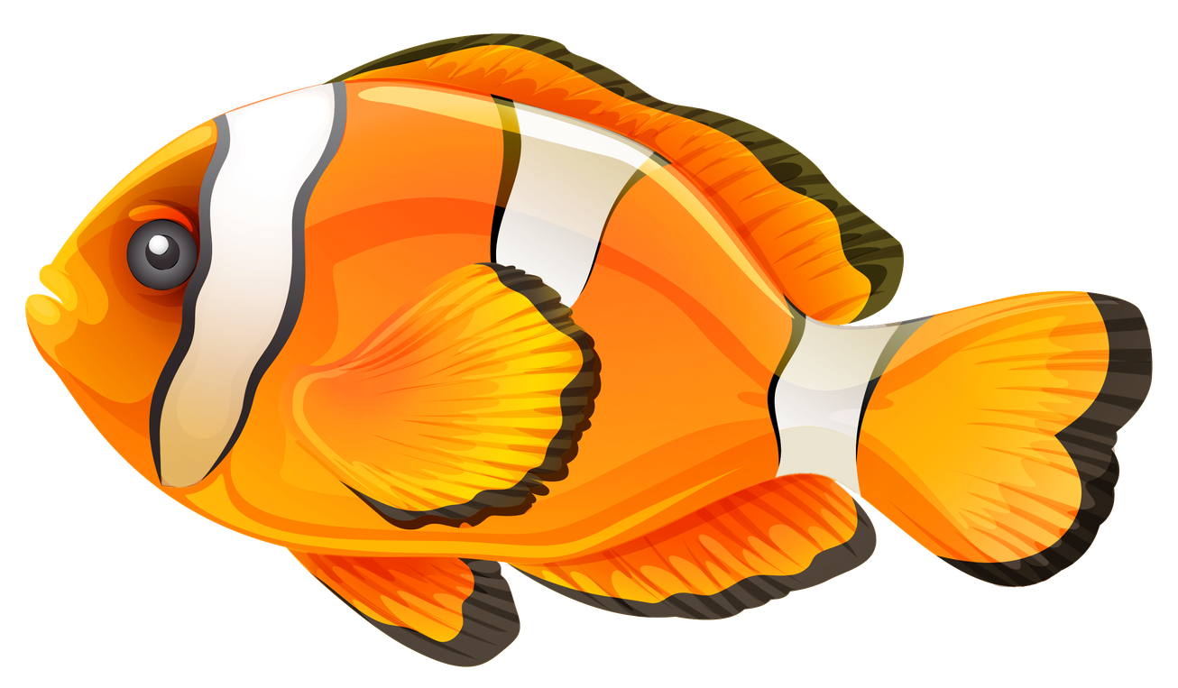 Fish Cartoon Png Image (black, orange, white)