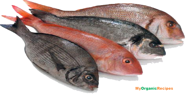 Fish Meat Png File (white, gray)