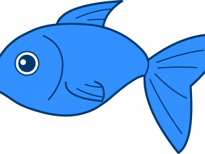 Fish Png 4 300X225 (greenish blue, black)