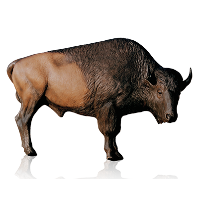 Bison Png Clipart (white, black, silver, gray, olive)