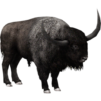 Bison Png File (black)