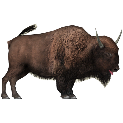 Bison Transparent Png (black)