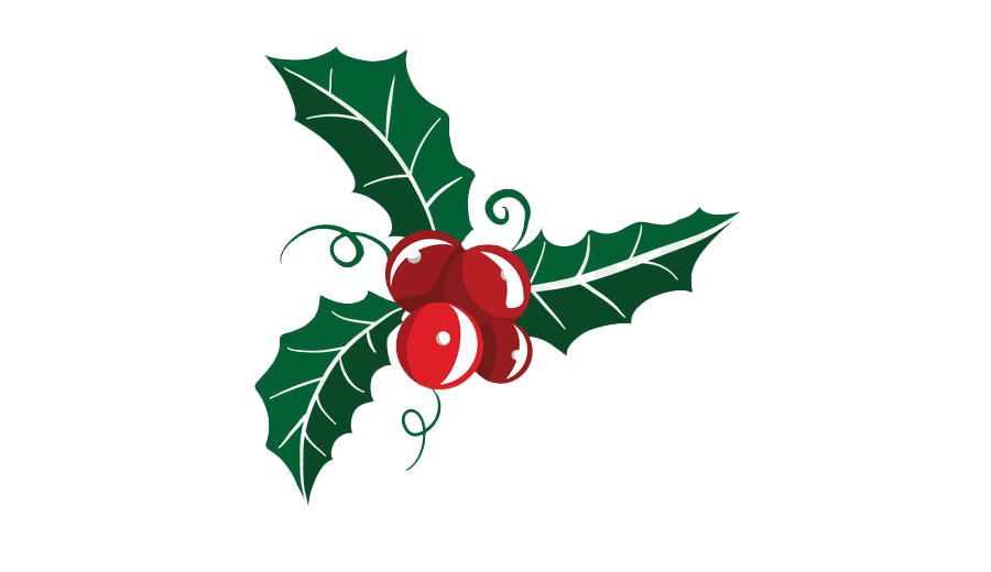 Mistletoe Png Free Download (green, white)