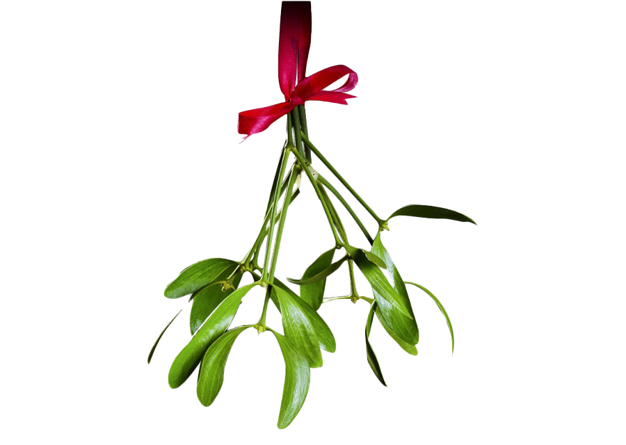 Mistletoe Png Hd (white, silver)