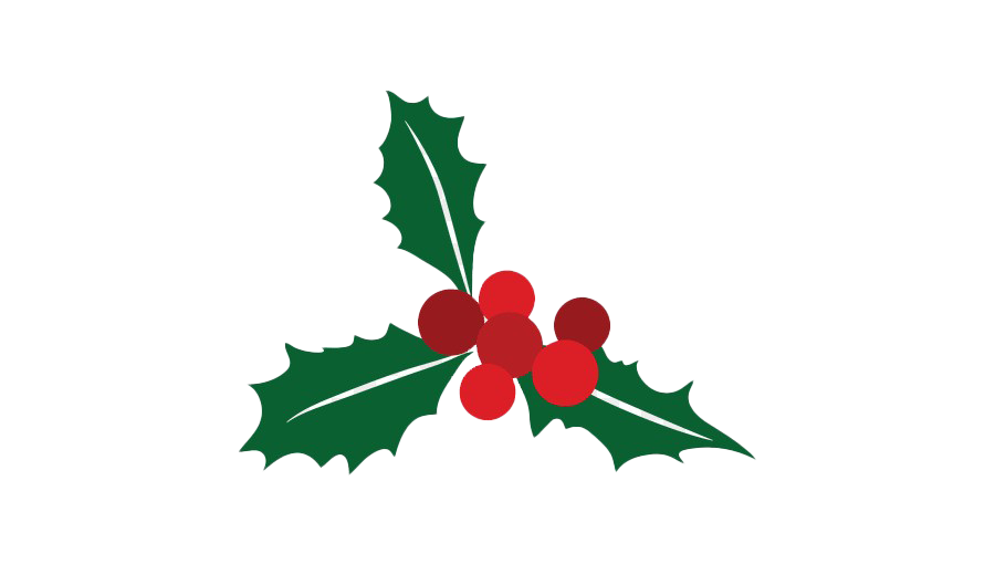 Mistletoe Png Pic (green, white, maroon, red)