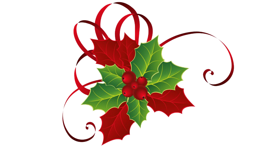 Mistletoe Png Picture (white, maroon)