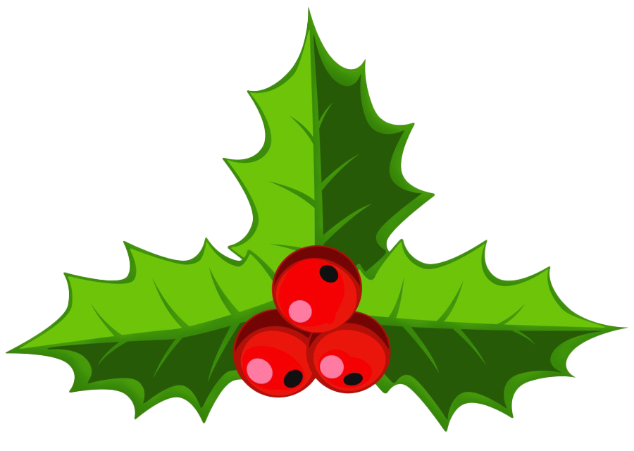 Mistletoe Transparent Background (green, white, olive, red)