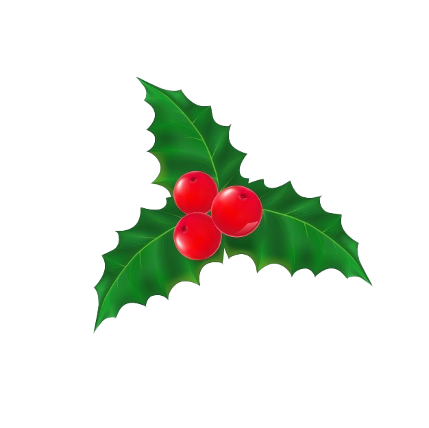 Mistletoe Transparent Png (green, white)