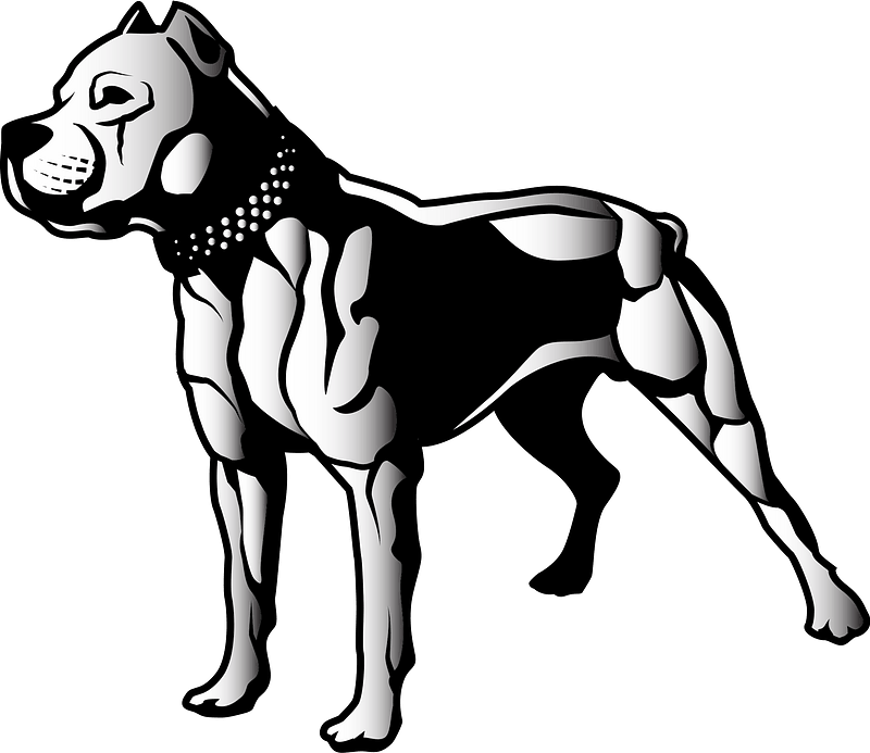 Pit Bulls Png Hd (gray, white, black)