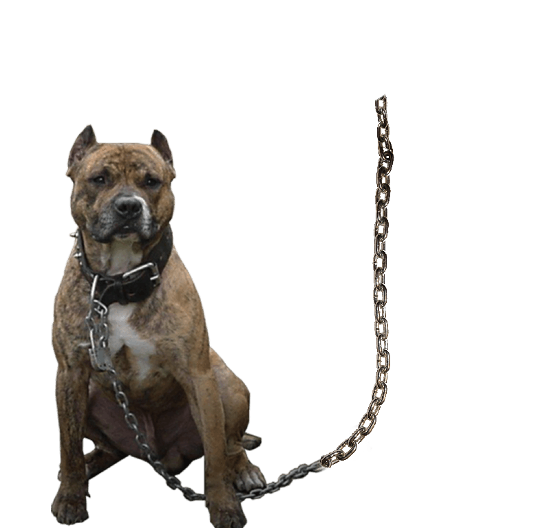 Pit Bulls Png Photo (gray)