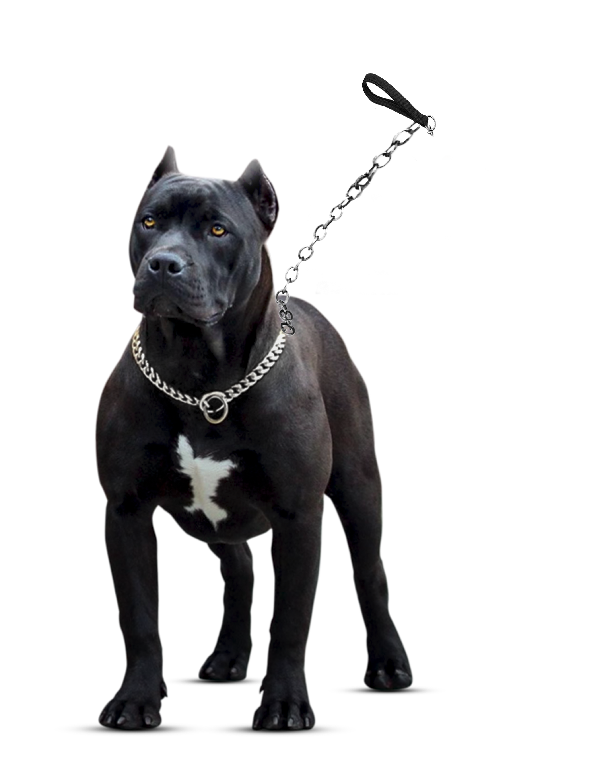 Pit Bulls Png Transparent (black)