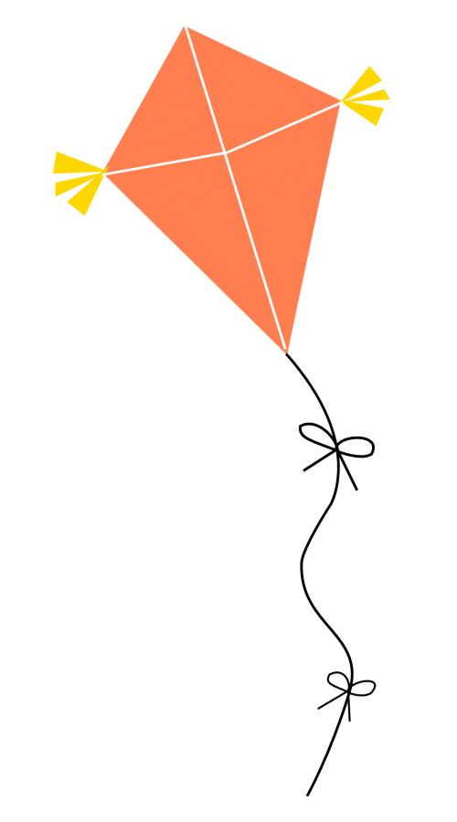 Kite Transparent Background (black, salmon)