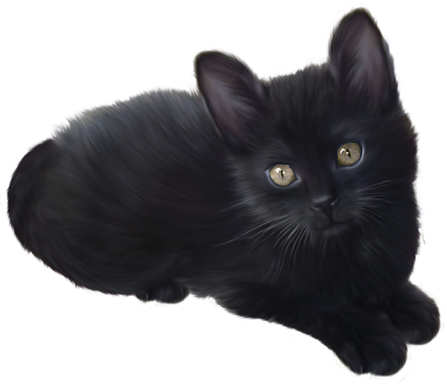 Kitten Png Transparent Image (black)