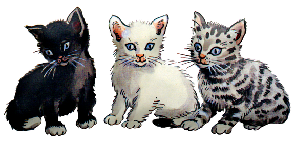 Kittens Png Isolated Pic (black)