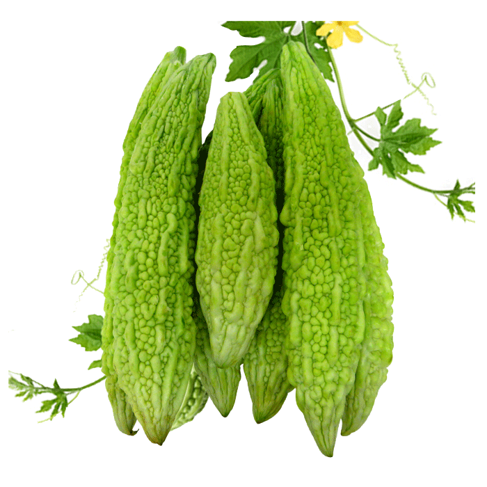 Bitter Gourd Leaves Png (white)