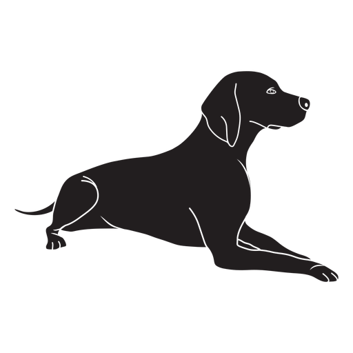 Sitting Black Labrador Dog Transparent Png (black)