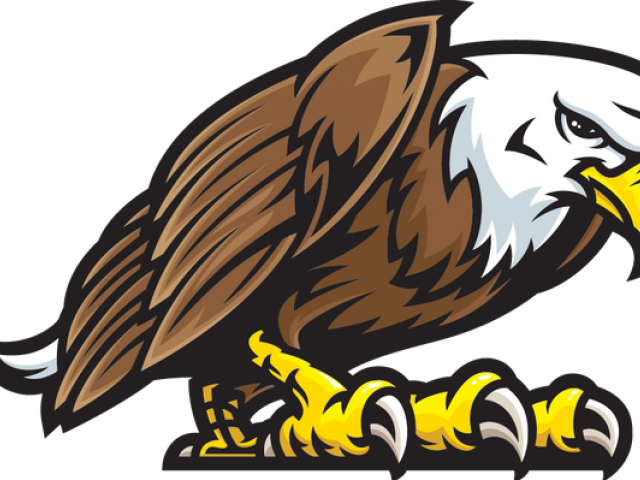 Sitting Eagle Png Clipart (olive, white, black)