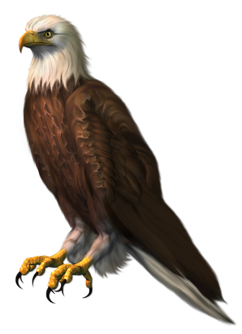 Sitting Eagle Png Transparent Image (black)