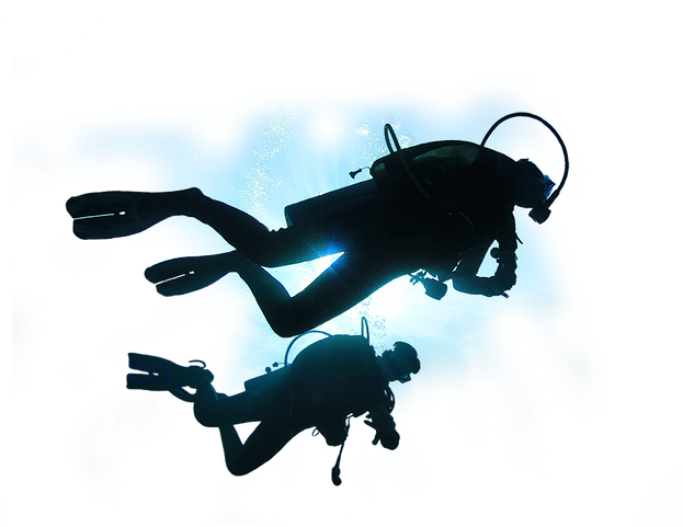 Diver No Background (black)