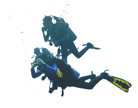 Diver Png Picture (teal, white, silver)