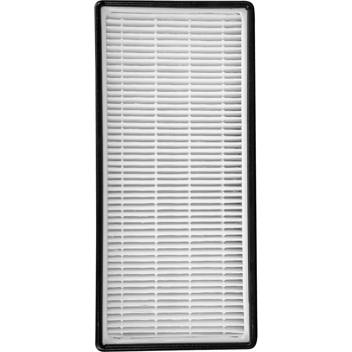 Living Air Purifier Transparent Background (silver, gray, lavender)