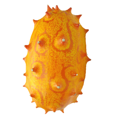 Kiwano Png File (chocolate, black, gold)