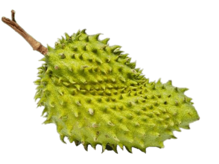 Kiwano Png Photo (gray)