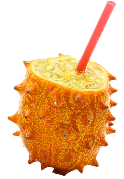 Kiwano Png Pic (gray, salmon)